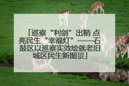 巡察“利剑”出鞘 点亮民生“幸福灯”——石鼓区以巡察实效绘就老旧城区民生新图景
