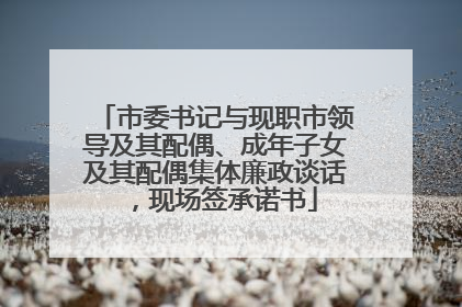 市委书记与现职市领导及其配偶、成年子女及其配偶集体廉政谈话，现场签承诺书