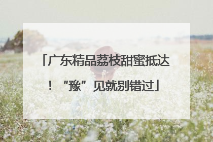 广东精品荔枝甜蜜抵达！“豫”见就别错过