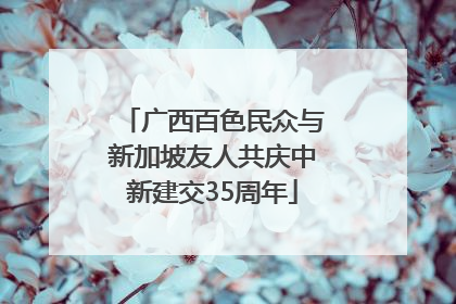 广西百色民众与新加坡友人共庆中新建交35周年
