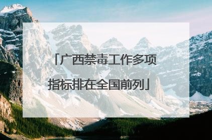 广西禁毒工作多项指标排在全国前列
