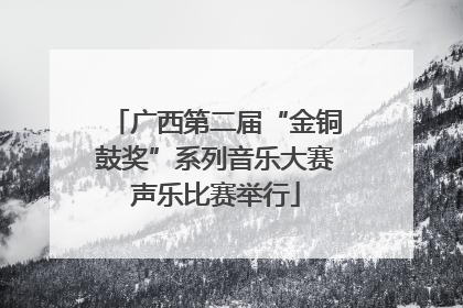 广西第二届“金铜鼓奖”系列音乐大赛声乐比赛举行