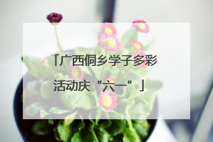 广西侗乡学子多彩活动庆“六一”