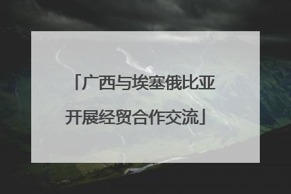 广西与埃塞俄比亚开展经贸合作交流