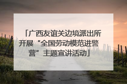 广西友谊关边境派出所开展“全国劳动模范进警营”主题宣讲活动