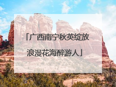 广西南宁秋英绽放 浪漫花海醉游人
