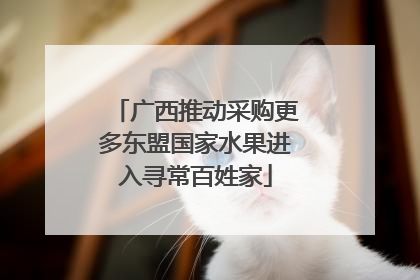 广西推动采购更多东盟国家水果进入寻常百姓家