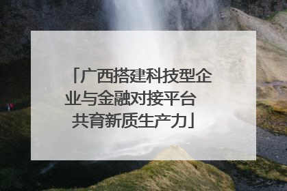 广西搭建科技型企业与金融对接平台 共育新质生产力