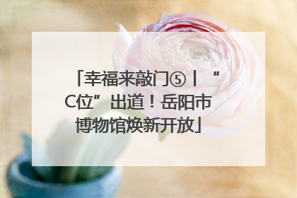 幸福来敲门⑤丨“C位”出道！岳阳市博物馆焕新开放