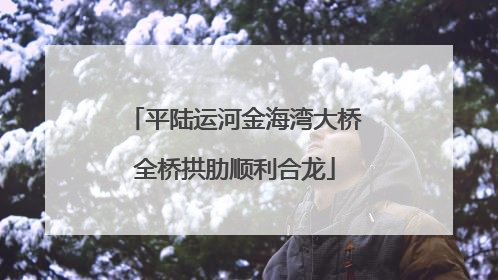 平陆运河金海湾大桥全桥拱肋顺利合龙