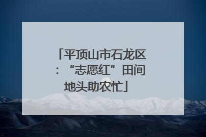 平顶山市石龙区：“志愿红”田间地头助农忙