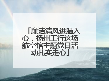 廉洁清风进脑入心，扬州工行这场航空馆主题党日活动扎实走心