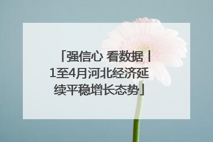 强信心 看数据丨1至4月河北经济延续平稳增长态势