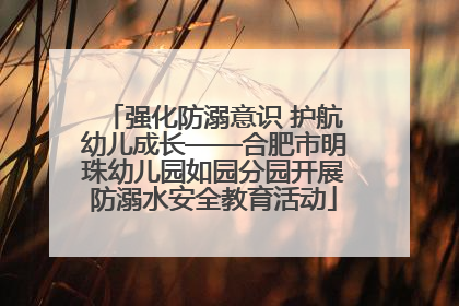 强化防溺意识 护航幼儿成长——合肥市明珠幼儿园如园分园开展防溺水安全教育活动