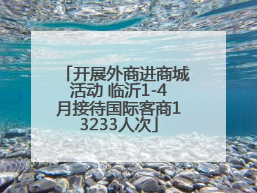 开展外商进商城活动 临沂1-4月接待国际客商13233人次
