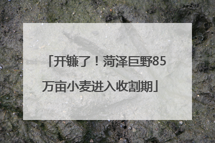 开镰了！菏泽巨野85万亩小麦进入收割期