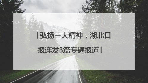 弘扬三大精神，湖北日报连发3篇专题报道