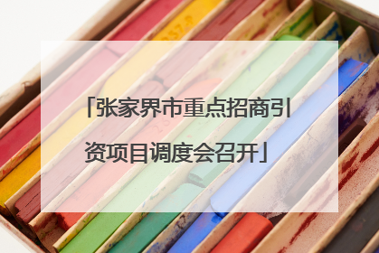 张家界市重点招商引资项目调度会召开