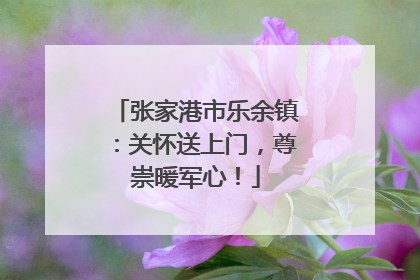 张家港市乐余镇：关怀送上门，尊崇暖军心！