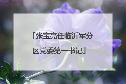张宝亮任临沂军分区党委第一书记