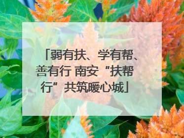 弱有扶、学有帮、善有行 南安“扶帮行”共筑暖心城
