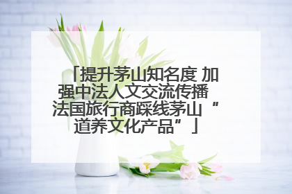 提升茅山知名度 加强中法人文交流传播 法国旅行商踩线茅山“道养文化产品”