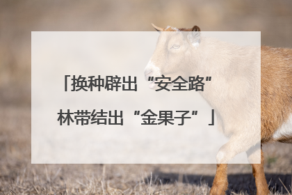换种辟出“安全路” 林带结出“金果子”