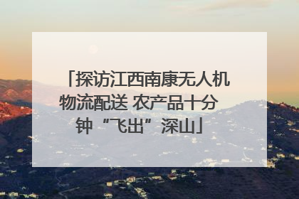 探访江西南康无人机物流配送 农产品十分钟“飞出”深山