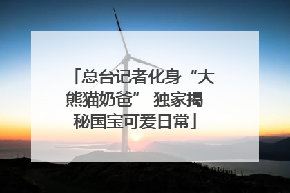总台记者化身“大熊猫奶爸” 独家揭秘国宝可爱日常