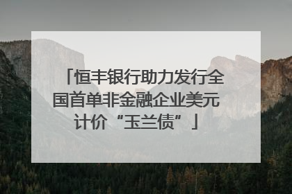 恒丰银行助力发行全国首单非金融企业美元计价“玉兰债”