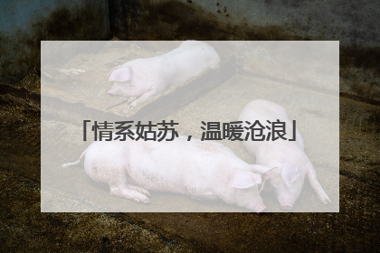 情系姑苏，温暖沧浪