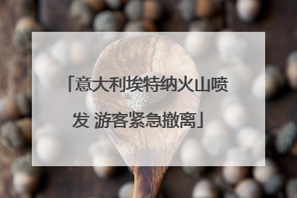 意大利埃特纳火山喷发 游客紧急撤离