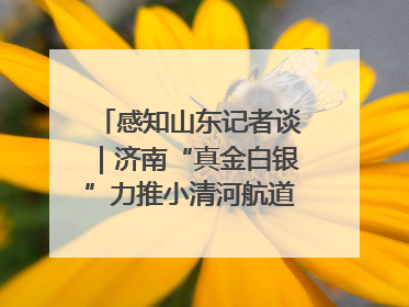 感知山东记者谈｜济南“真金白银”力推小清河航道 黄金水道激活区域经济新动能