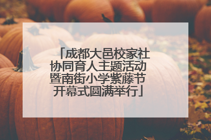 成都大邑校家社协同育人主题活动暨南街小学紫藤节开幕式圆满举行