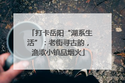 打卡岳阳“湖系生活”：老街寻古韵，渔歌小镇品烟火