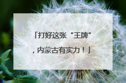打好这张“王牌”，内蒙古有实力！
