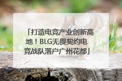 打造电竞产业创新高地！BLG无畏契约电竞战队落户广州花都