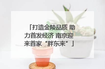打造金陵品质 助力首发经济 南京迎来首家“胖东来”