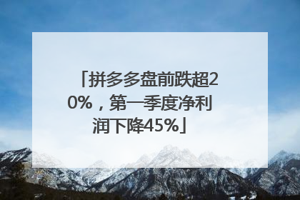 拼多多盘前跌超20%，第一季度净利润下降45%