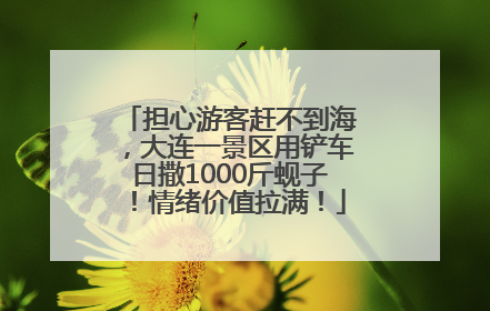 担心游客赶不到海，大连一景区用铲车日撒1000斤蚬子！情绪价值拉满！