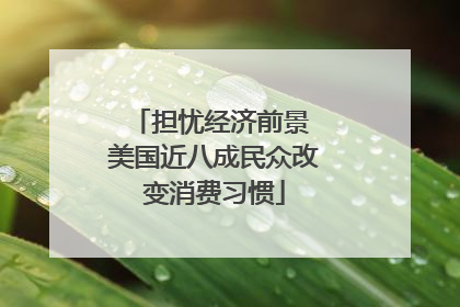 担忧经济前景 美国近八成民众改变消费习惯