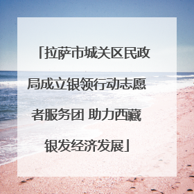拉萨市城关区民政局成立银领行动志愿者服务团 助力西藏银发经济发展