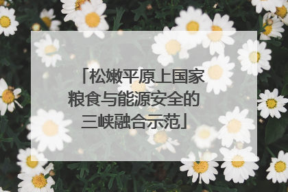 松嫩平原上国家粮食与能源安全的三峡融合示范