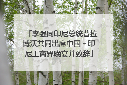 李强同印尼总统普拉博沃共同出席中国－印尼工商界晚宴并致辞