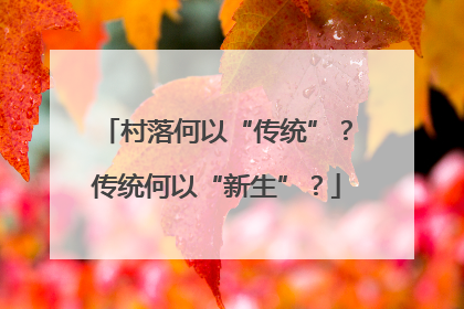 村落何以“传统”？传统何以“新生”？