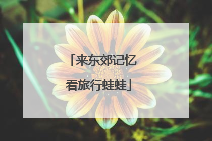 来东郊记忆 看旅行蛙蛙