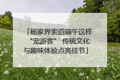 杨家界索道端午这样“宠游客” 传统文化与趣味体验点亮佳节