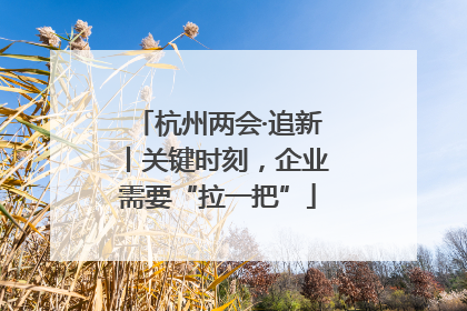 杭州两会·追新丨关键时刻，企业需要“拉一把”