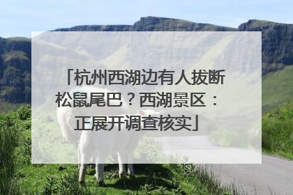 杭州西湖边有人拔断松鼠尾巴？西湖景区：正展开调查核实