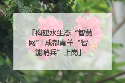 构建水生态“智慧网” 成都青羊“智能哨兵”上岗